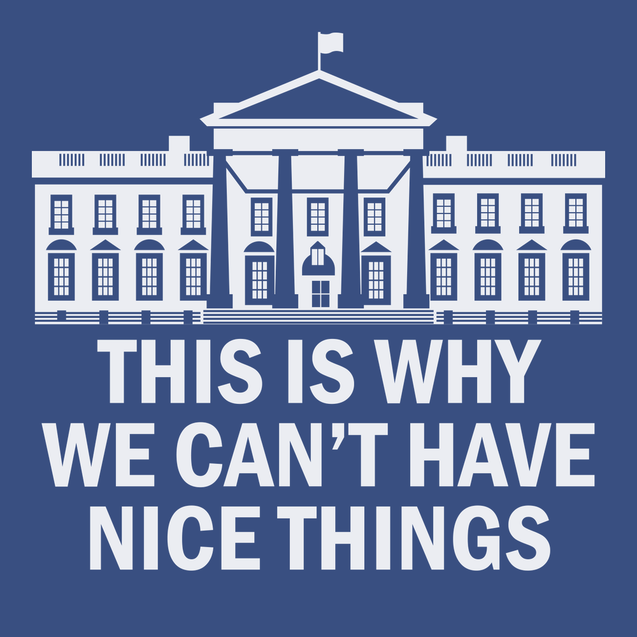 Government This Is Why We Can't Have Nice Things T-Shirt BLUE