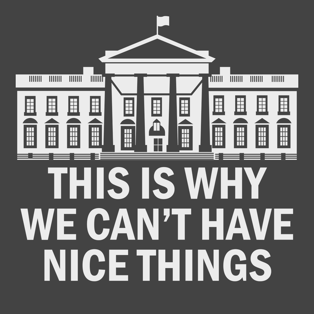Government This Is Why We Can't Have Nice Things T-Shirt CHARCOAL