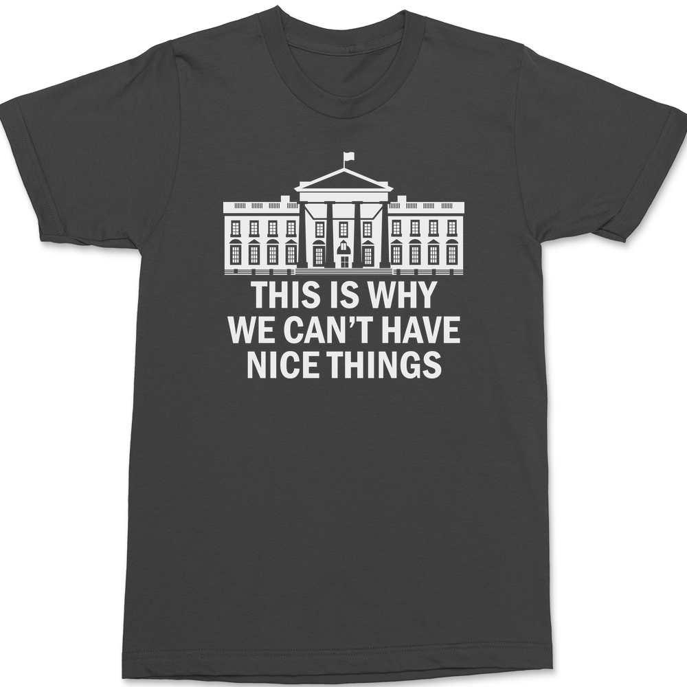 Government This Is Why We Can't Have Nice Things T-Shirt CHARCOAL
