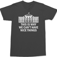 Government This Is Why We Can't Have Nice Things T-Shirt CHARCOAL
