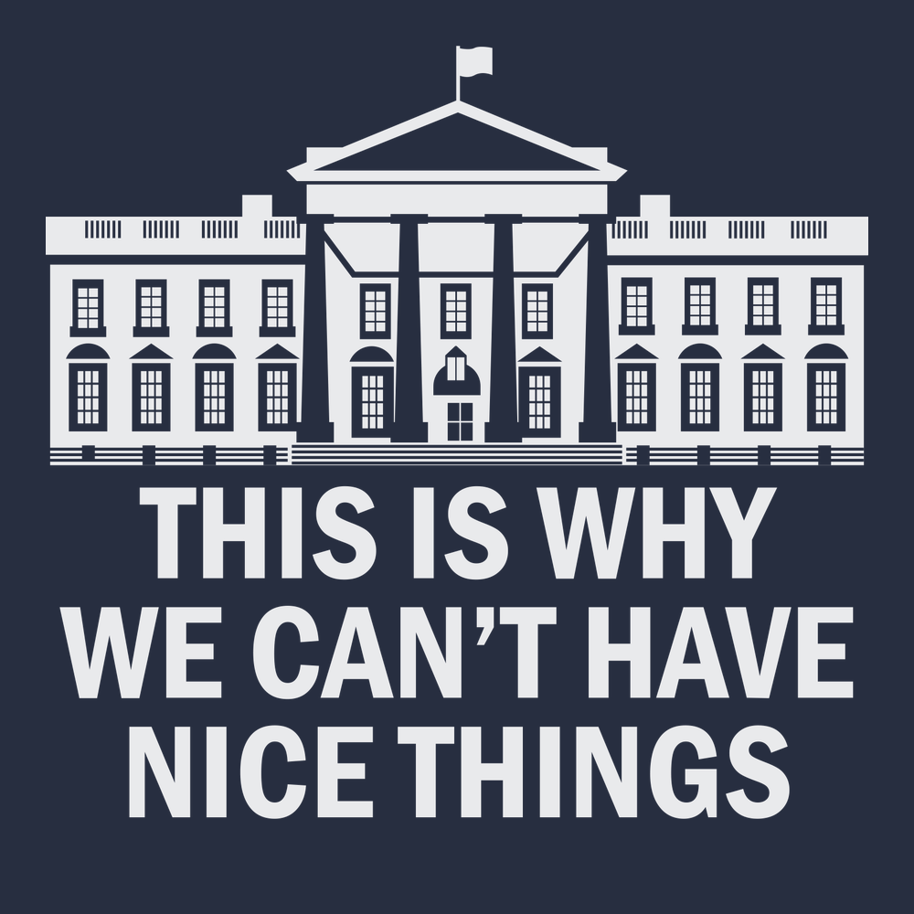 Government This Is Why We Can't Have Nice Things T-Shirt NAVY