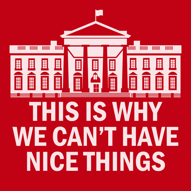 Government This Is Why We Can't Have Nice Things T-Shirt RED