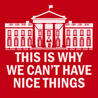 Government This Is Why We Can't Have Nice Things T-Shirt RED