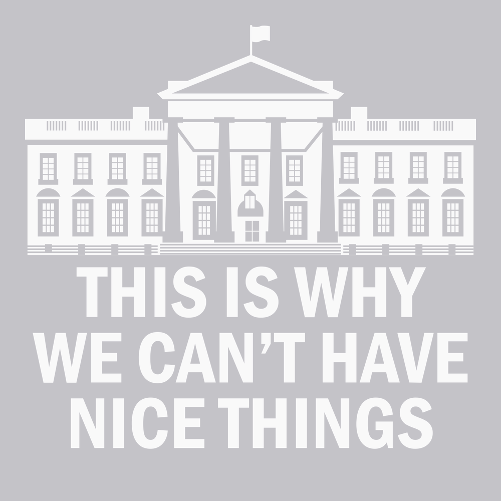 Government This Is Why We Can't Have Nice Things T-Shirt SILVER