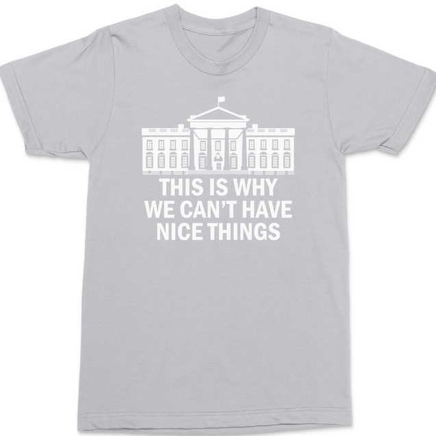 Government This Is Why We Can't Have Nice Things T-Shirt SILVER