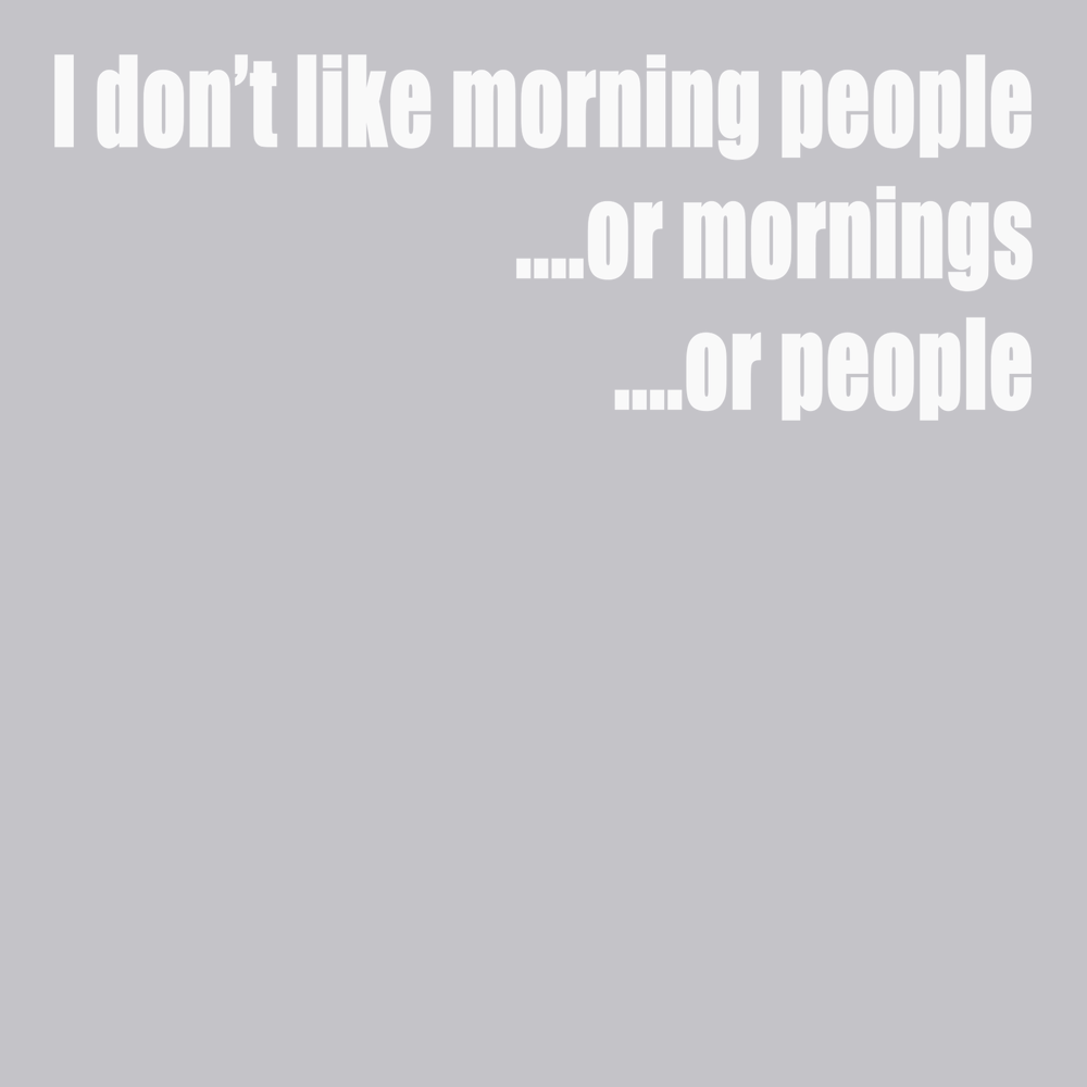 I Don't Like Morning People T-Shirt SILVER