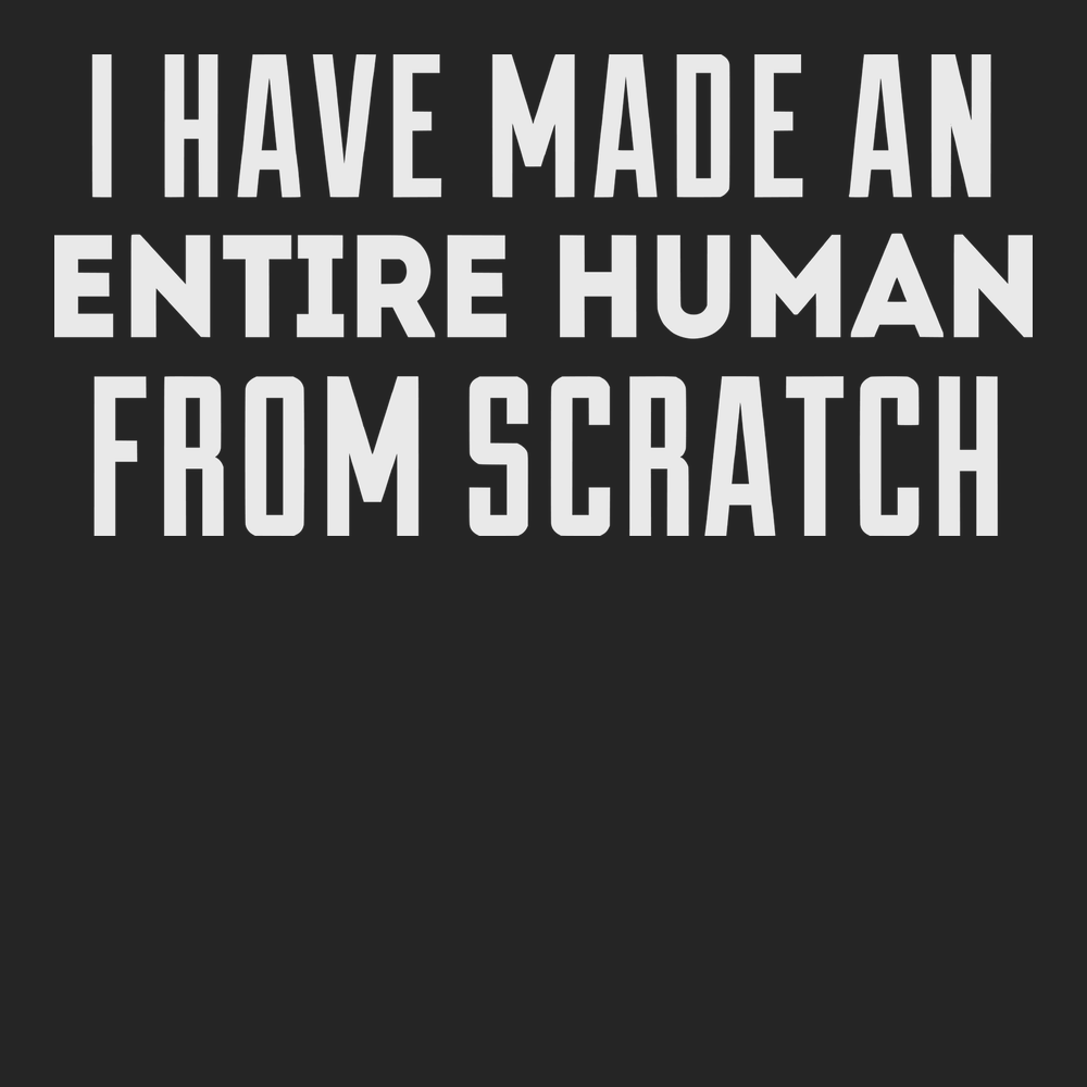 I Have Made Entire Human Beings From Scratch T-Shirt BLACK