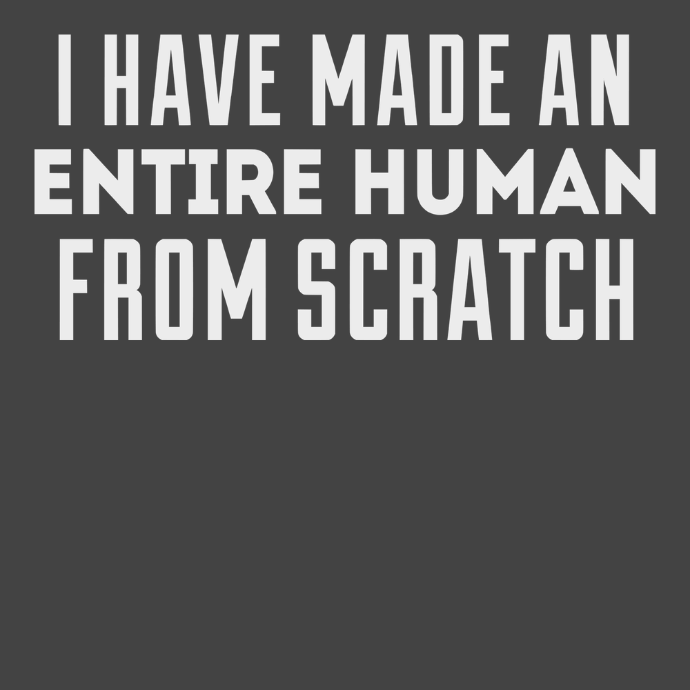 I Have Made Entire Human Beings From Scratch T-Shirt CHARCOAL