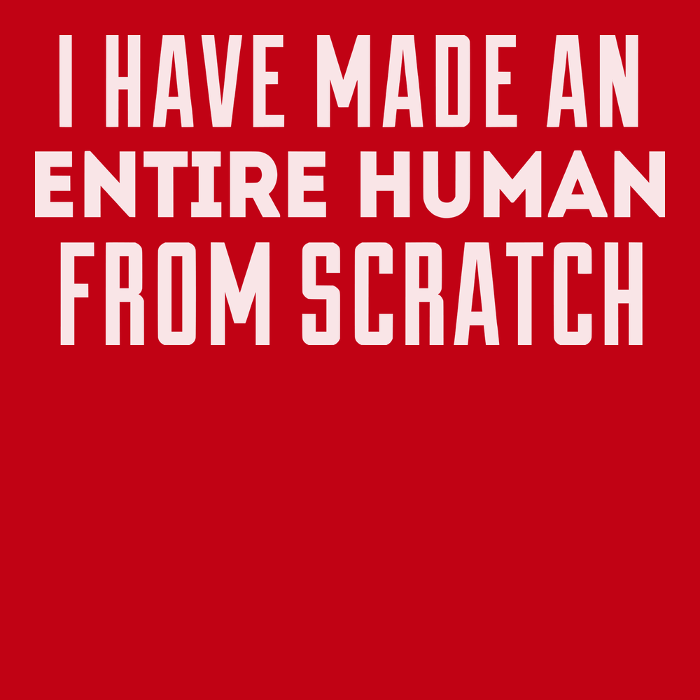 I Have Made Entire Human Beings From Scratch T-Shirt RED
