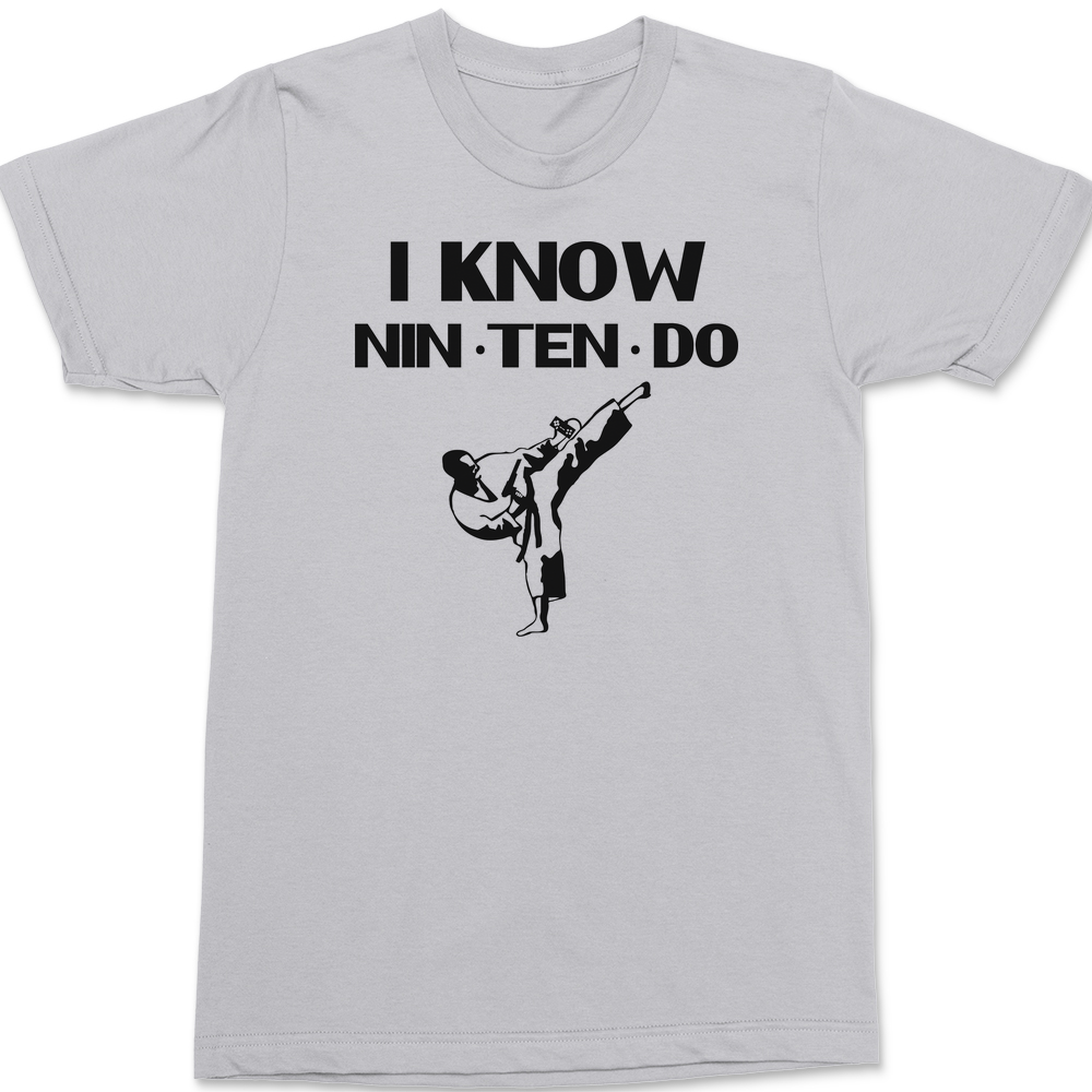 I Know Nintendo T-Shirt SILVER