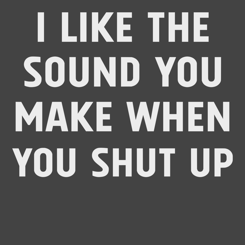 I Like The Sound You Make When You Shut Up T-Shirt CHARCOAL