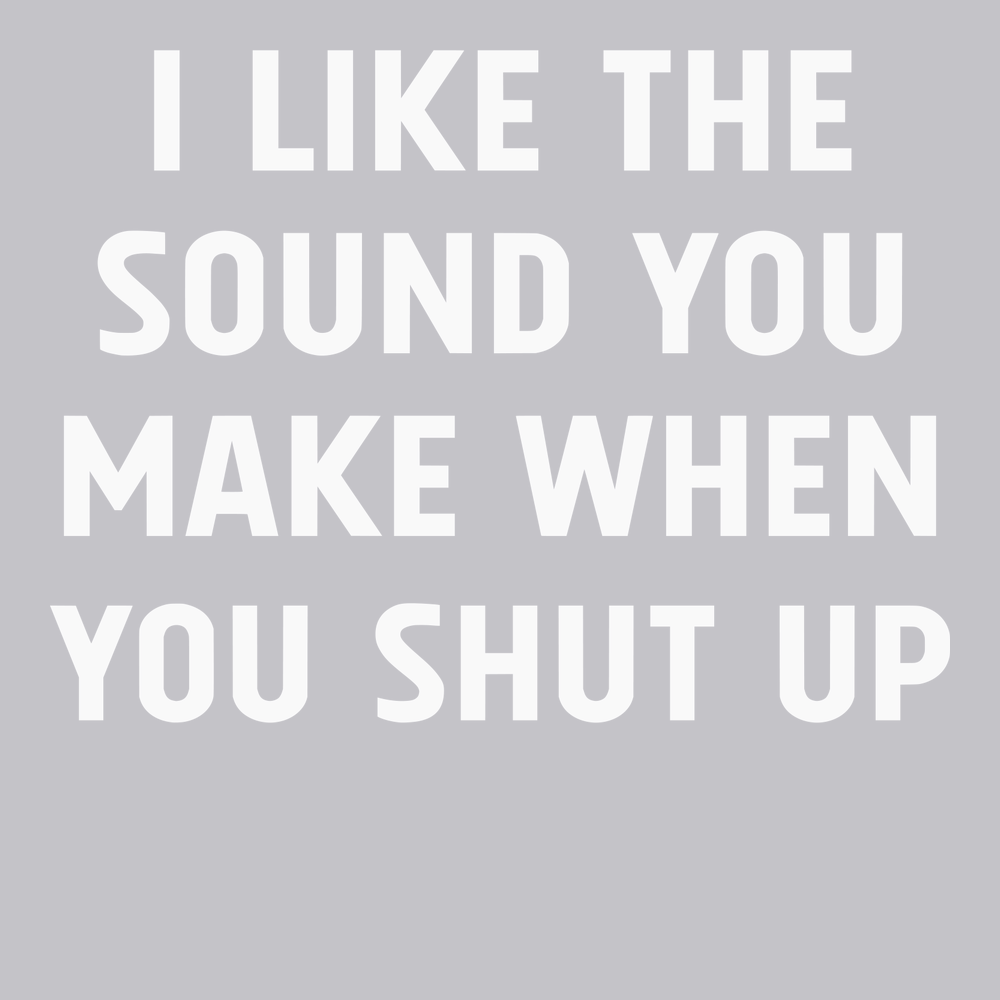 I Like The Sound You Make When You Shut Up T-Shirt SILVER