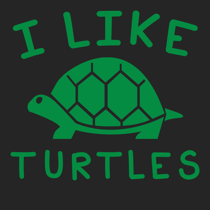 I Like Turtles T-Shirt BLACK