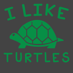 I Like Turtles T-Shirt CHARCOAL