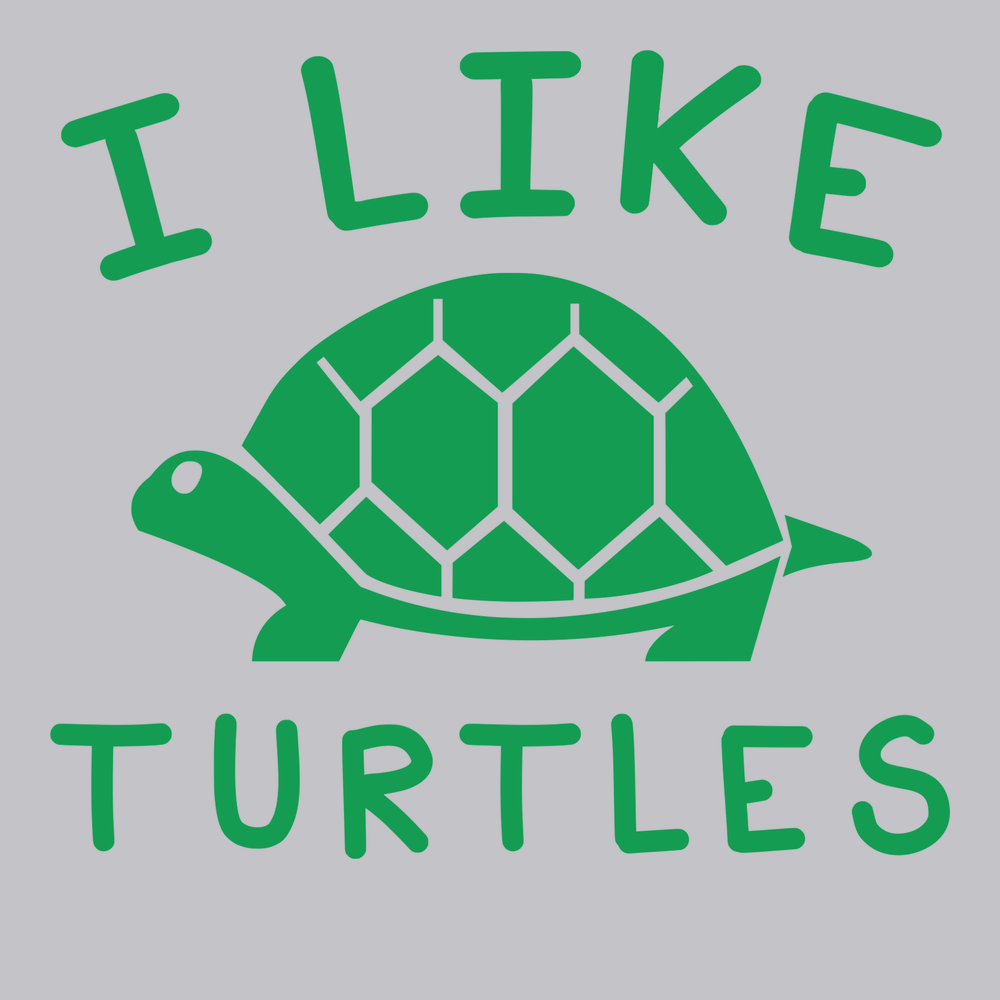 I Like Turtles T-Shirt SILVER