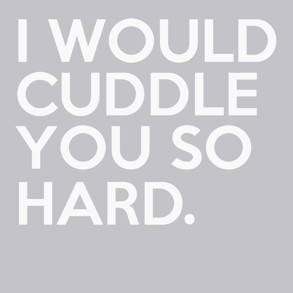 I Would Cuddle You So Hard T-Shirt SILVER