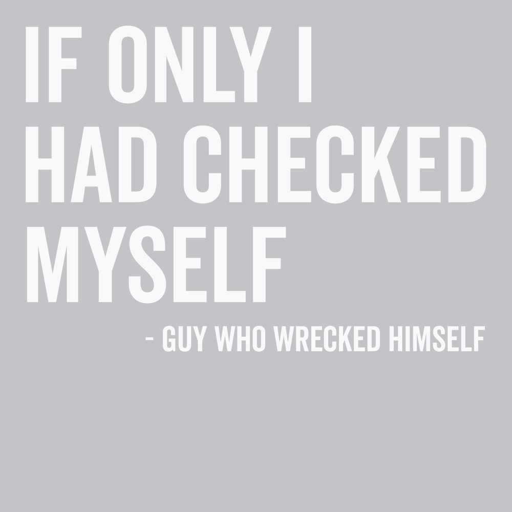 If Only I Had Checked Myself T-Shirt SILVER