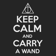 Keep Calm and Carry A Wand T-Shirt BLACK
