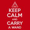Keep Calm and Carry A Wand T-Shirt RED