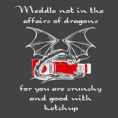 Meddle Not In The Affairs Of Dragons T-Shirt CHARCOAL