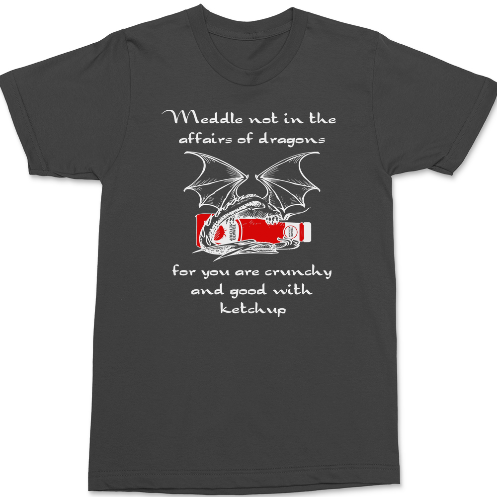 Meddle Not In The Affairs Of Dragons T-Shirt CHARCOAL