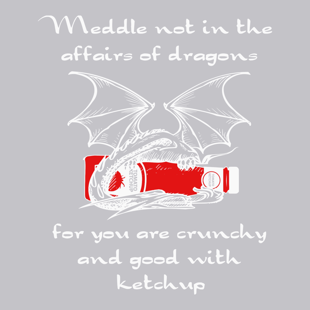 Meddle Not In The Affairs Of Dragons T-Shirt SILVER