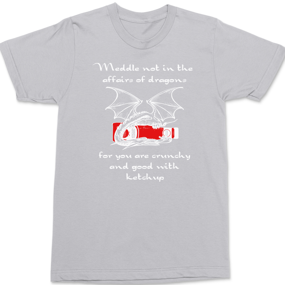 Meddle Not In The Affairs Of Dragons T-Shirt SILVER