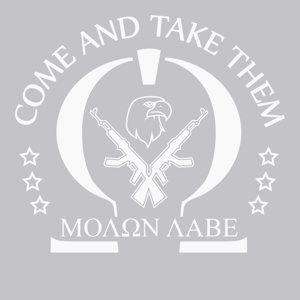 Molon Labe Come and Take Them T-Shirt SILVER