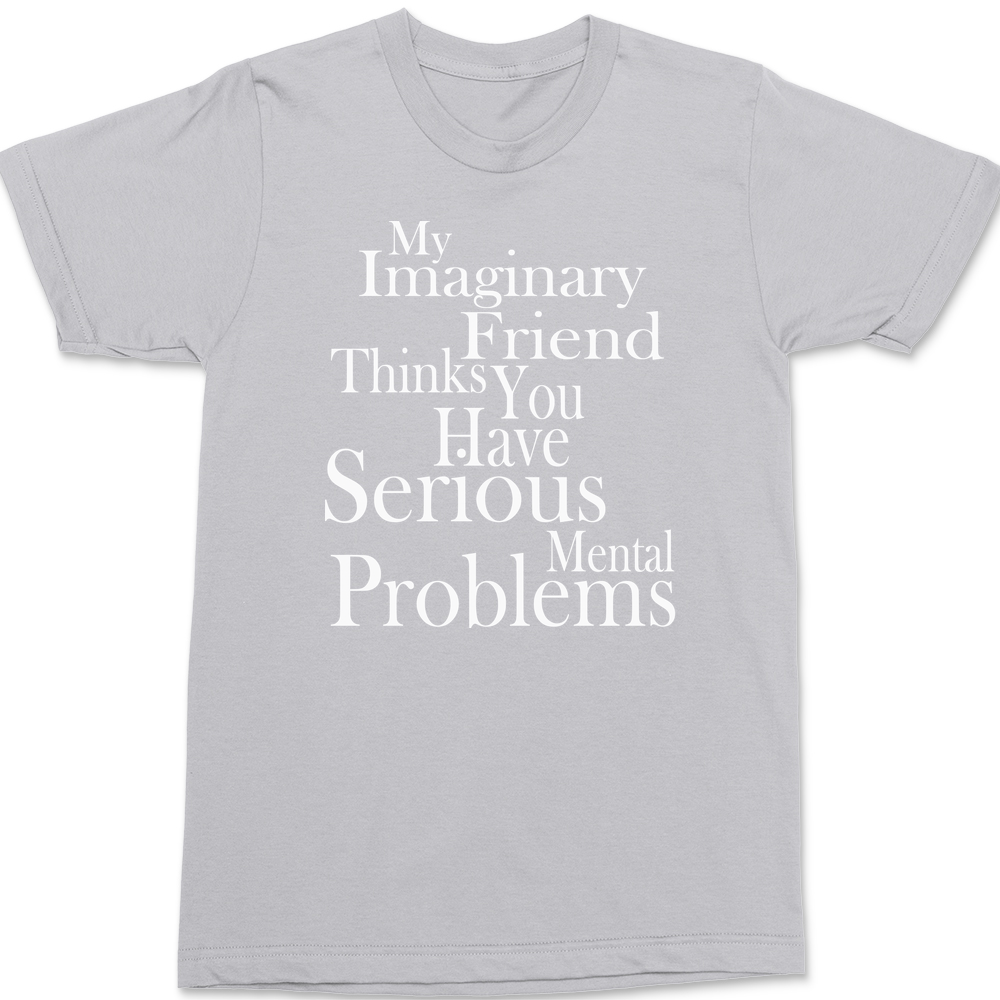 My Imaginary Friend Thinks You Have Serious Mental Problems T-Shirt SILVER