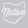 Ohio Native T-Shirt SILVER