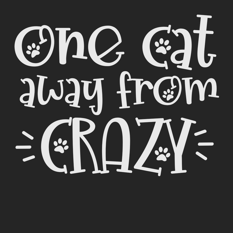 One Cat Away From Crazy T-Shirt BLACK