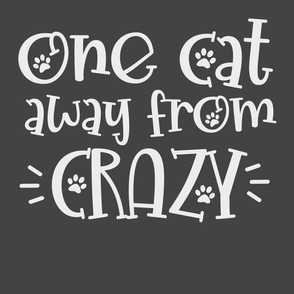 One Cat Away From Crazy T-Shirt CHARCOAL