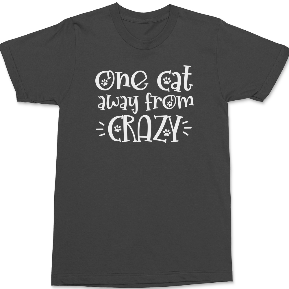 One Cat Away From Crazy T-Shirt CHARCOAL