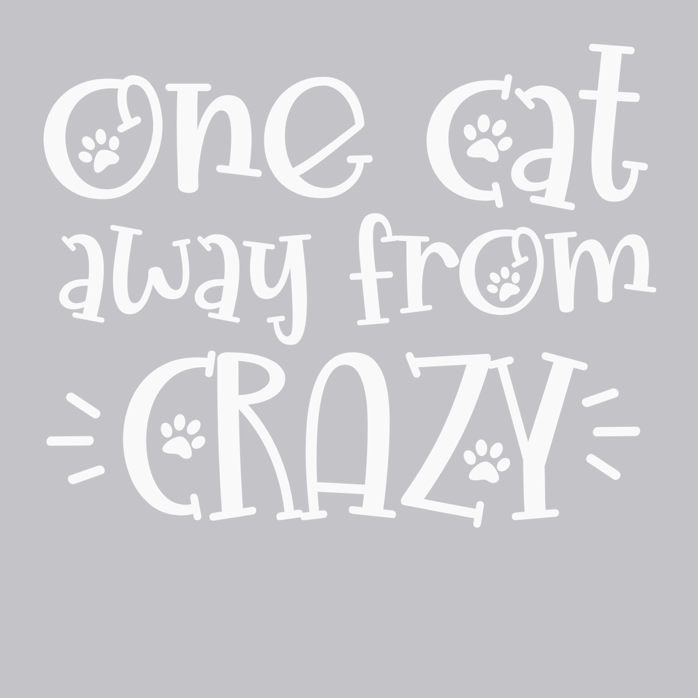 One Cat Away From Crazy T-Shirt SILVER