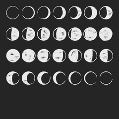 Phases Of The Moon T-Shirt BLACK