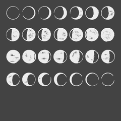 Phases Of The Moon T-Shirt CHARCOAL