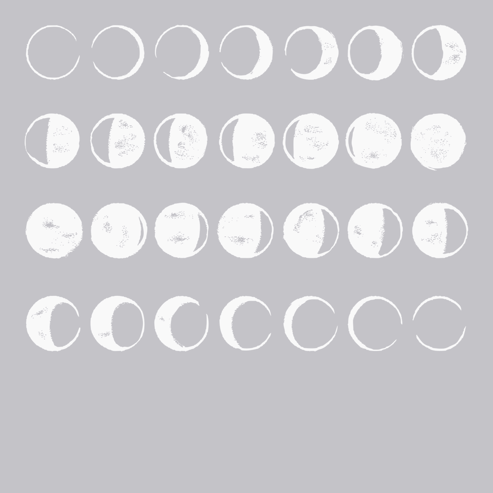 Phases Of The Moon T-Shirt SILVER