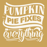 Pumpkin Pie Fixes Everything T-Shirt GINGER