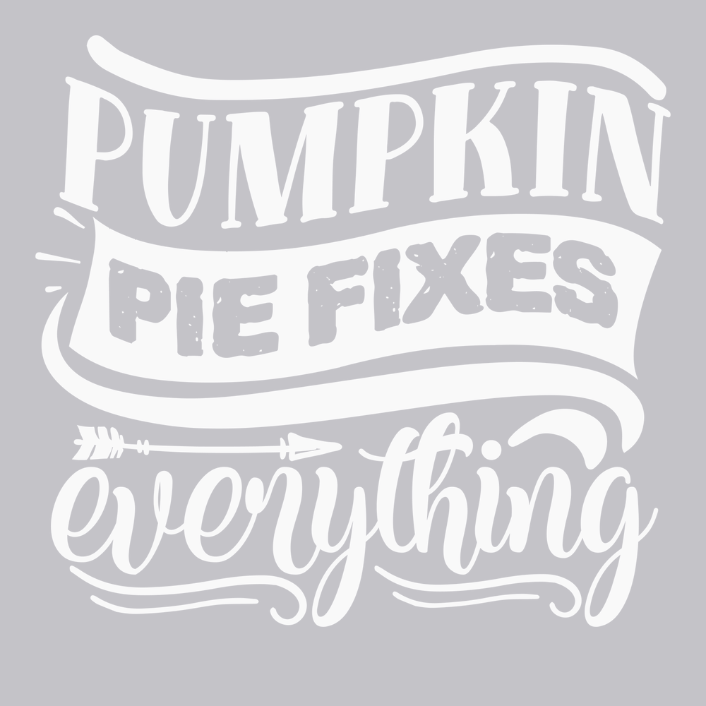 Pumpkin Pie Fixes Everything T-Shirt SILVER