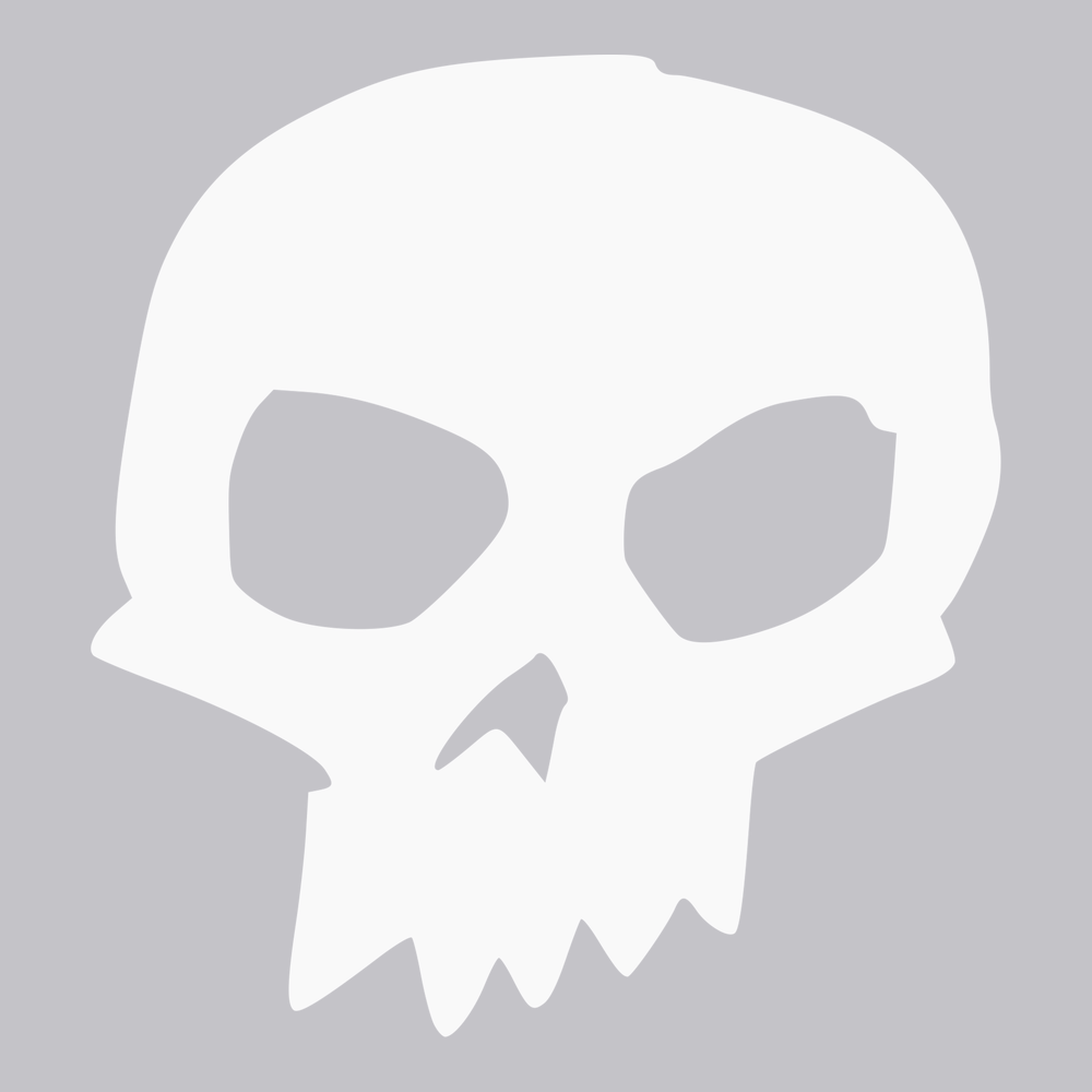 Sid's Skull Tee T-Shirt SILVER