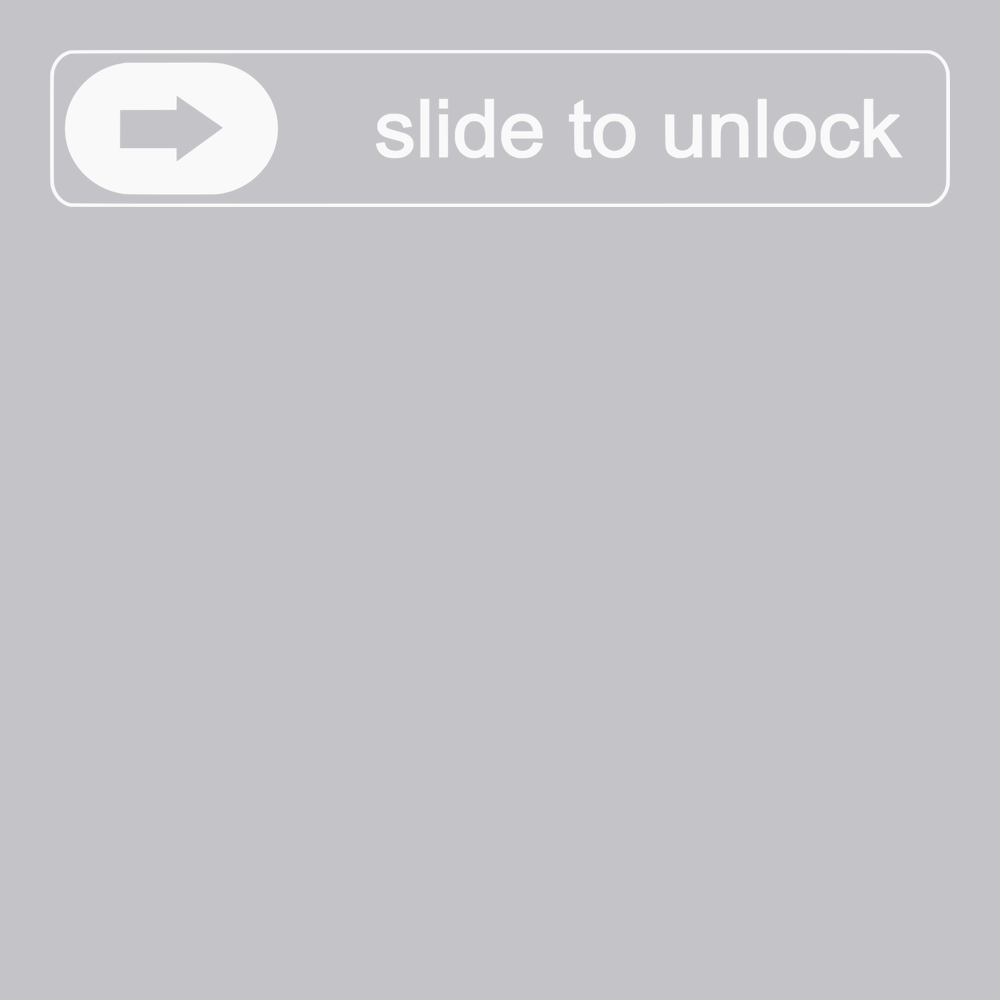 Slide To Unlock T-Shirt SILVER