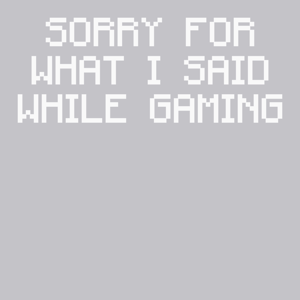 Sorry For What I Said While Gaming T-Shirt SILVER