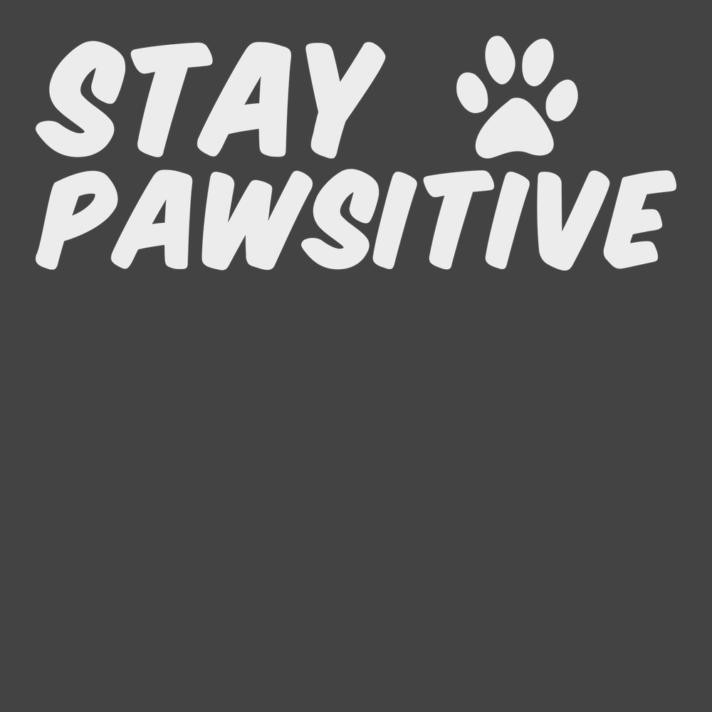 Stay Pawsitive T-Shirt CHARCOAL