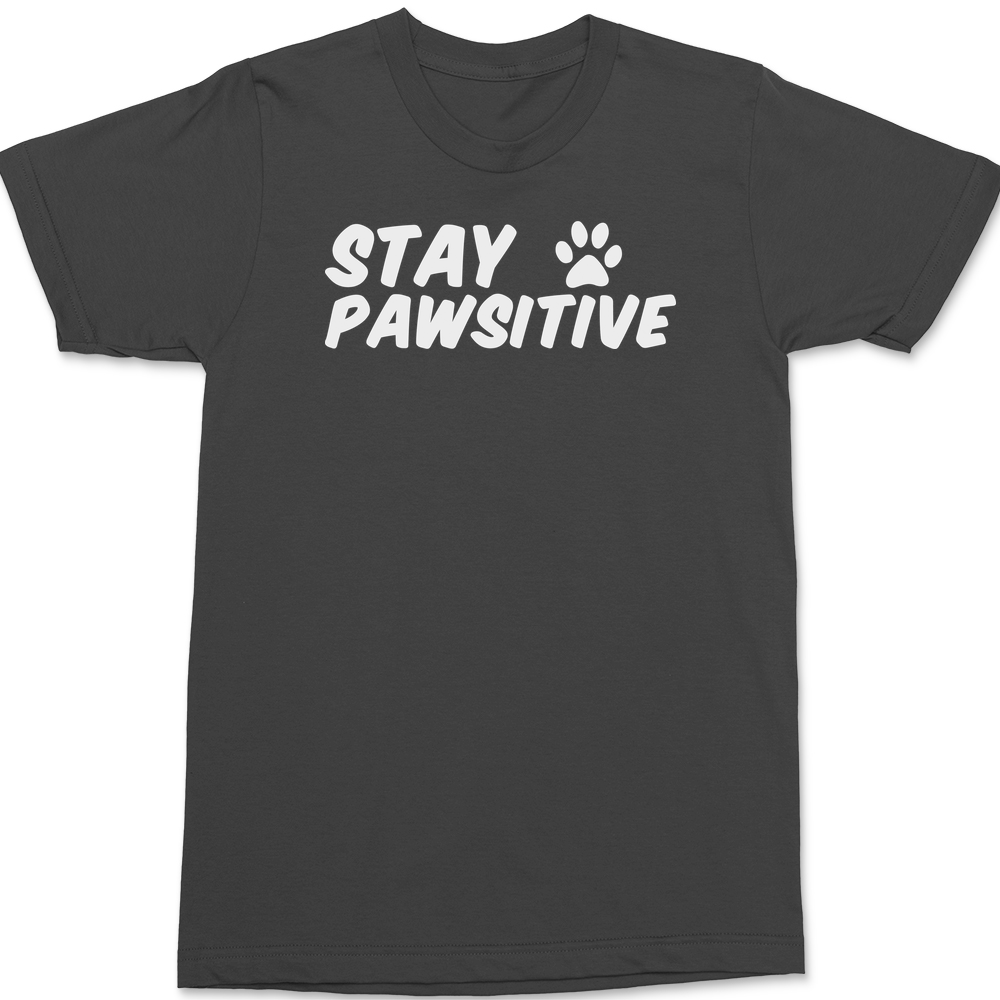 Stay Pawsitive T-Shirt CHARCOAL