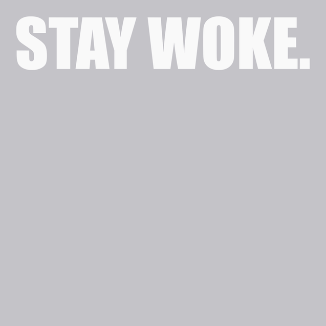 Stay Woke T-Shirt SILVER