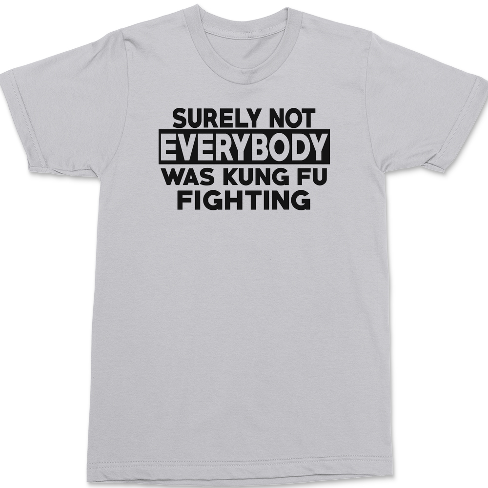 Surely Not Everyone Was Kung fu Fighting T-Shirt SILVER