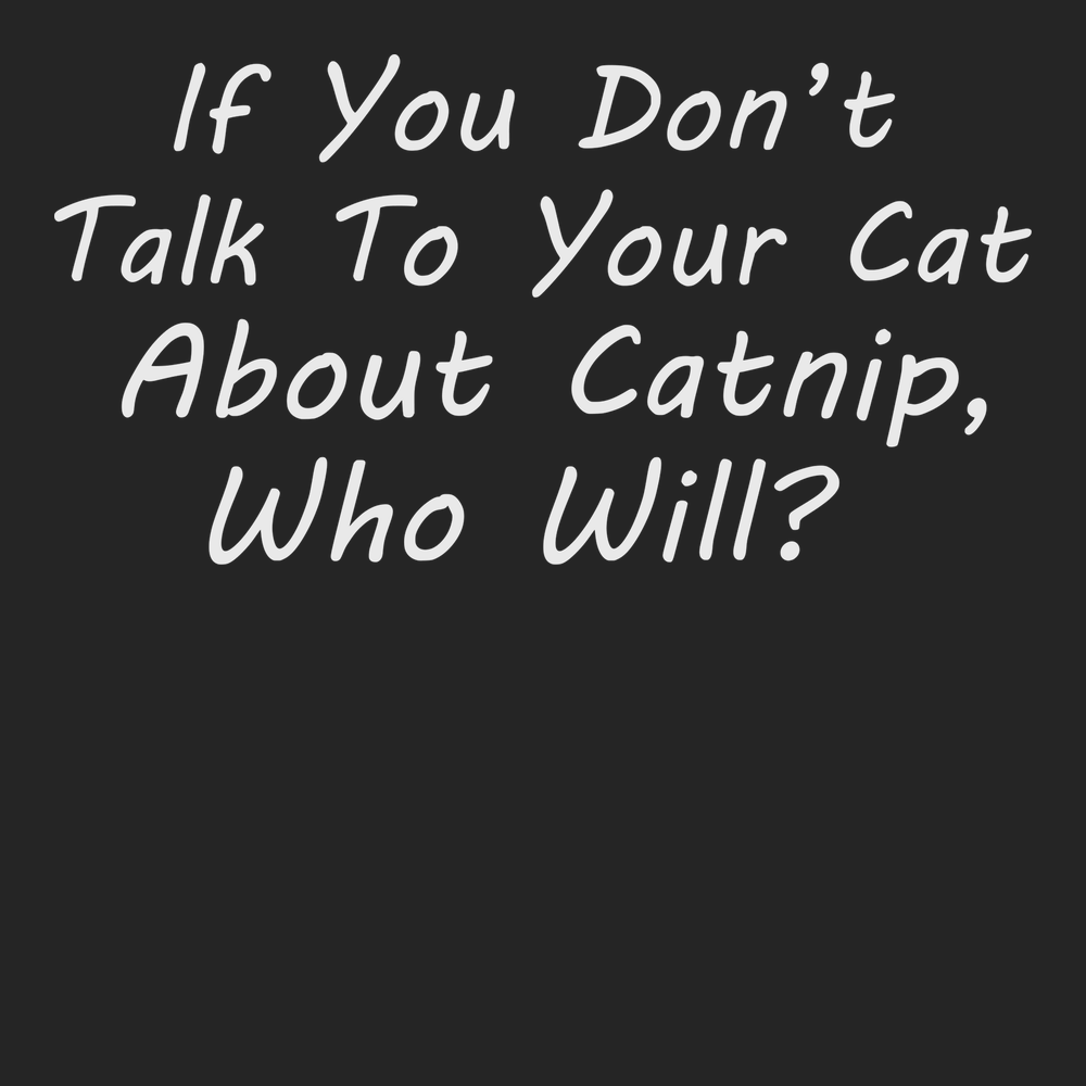 Talk To Your Cat About Catnip T-Shirt BLACK