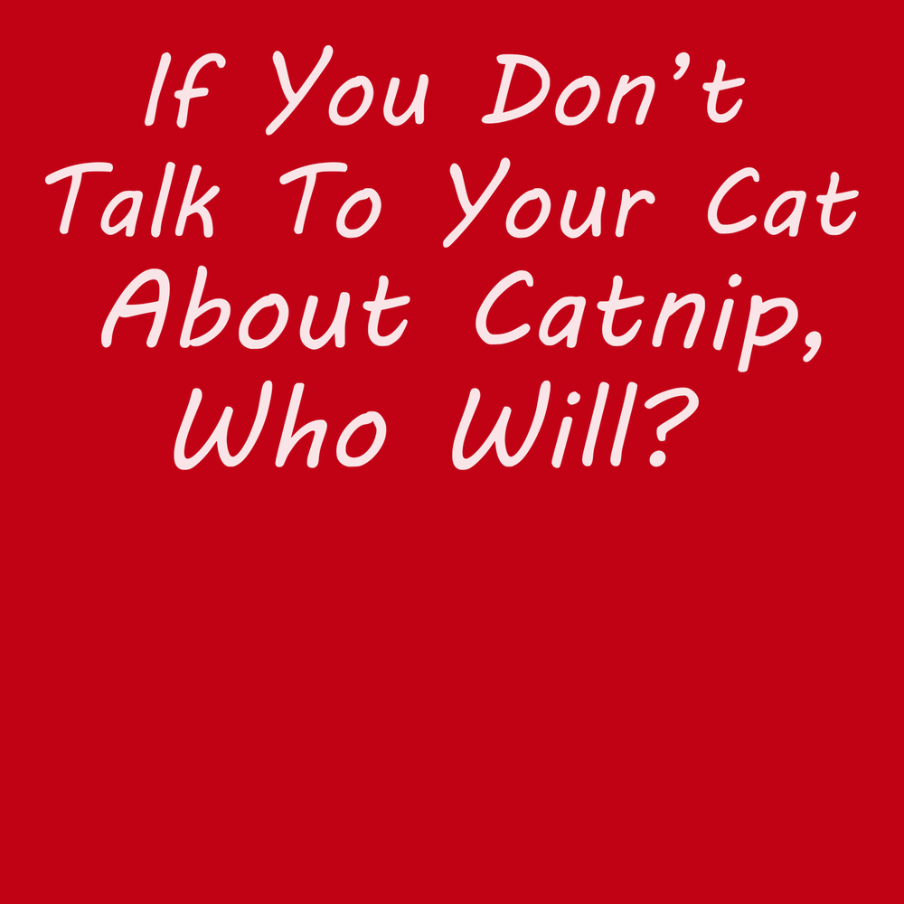 Talk To Your Cat About Catnip T-Shirt RED