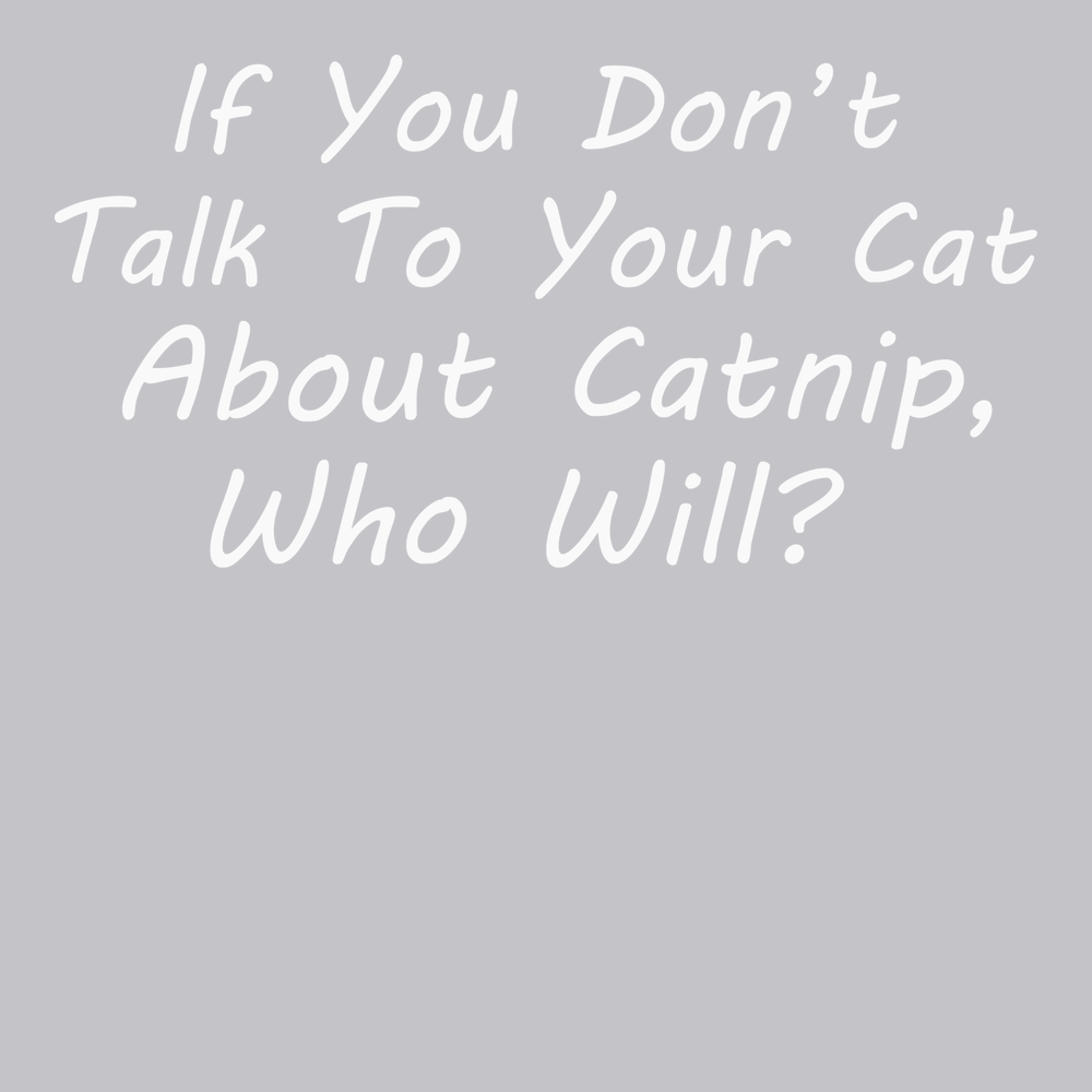 Talk To Your Cat About Catnip T-Shirt SILVER