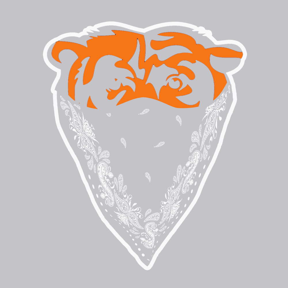 The Bears Bandana T-Shirt SILVER
